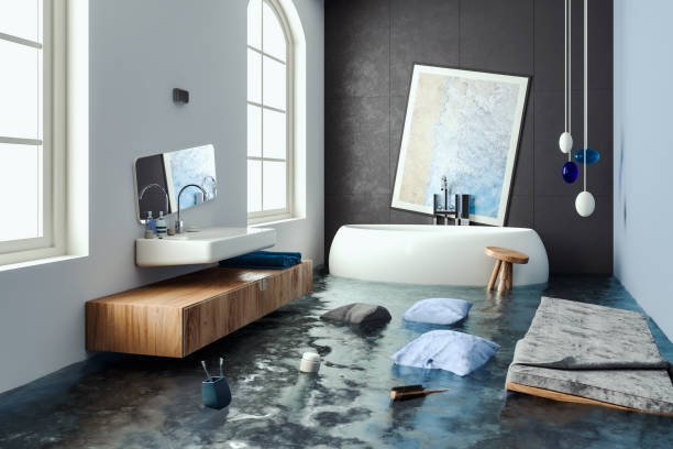 Best Ceiling water damage repair  in Madison, SD