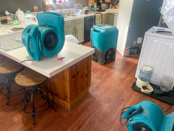 Best Emergency water damage restoration  in Madison, SD