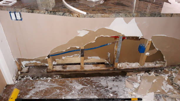 Best 24/7 water damage repair  in Madison, SD