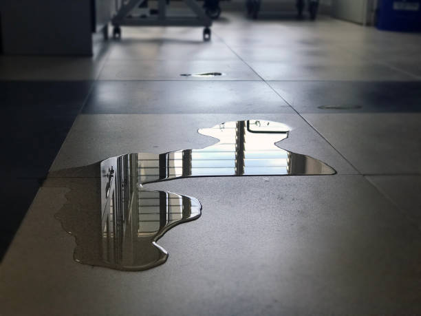 Best Commercial water damage restoration  in Madison, SD