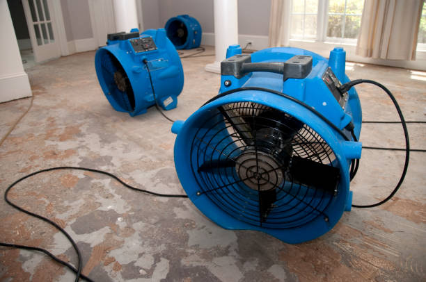 Best Flooded house restoration  in Madison, SD