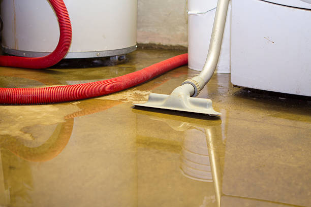 Best Carpet water damage restoration  in Madison, SD