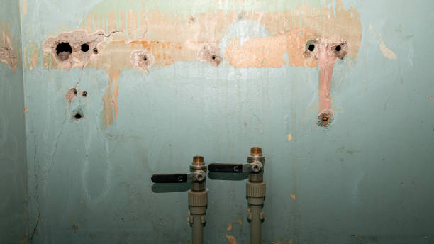 Best Water damage restoration near me  in Madison, SD