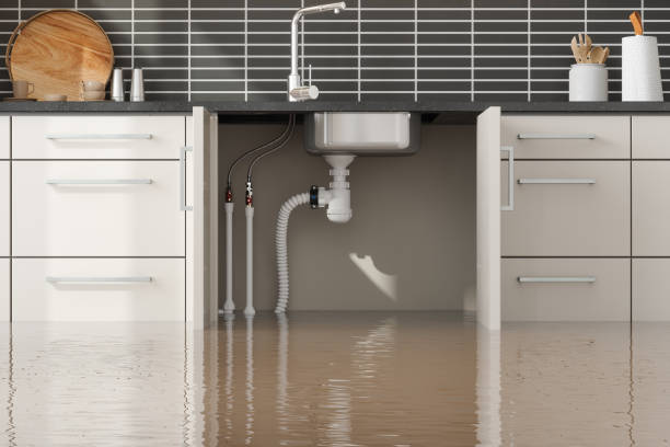 Best Sewage cleanup and water damage restoration  in Madison, SD