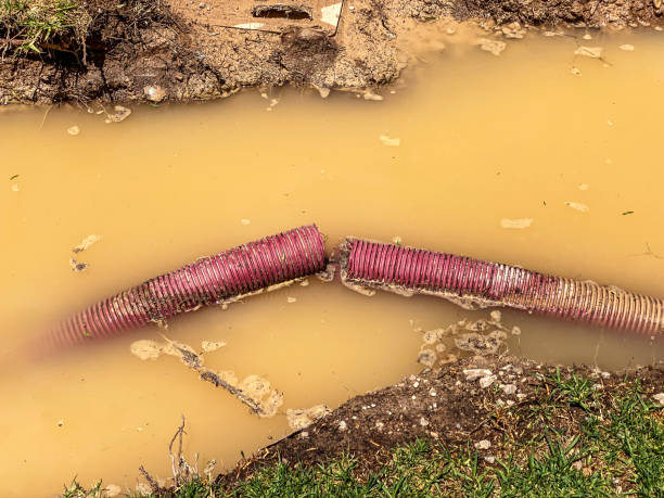 Best Water damage restoration near me  in Madison, SD