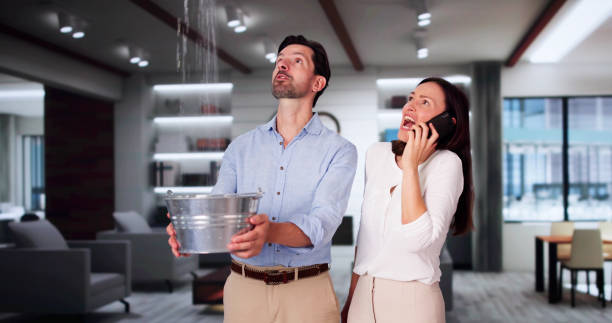 Best Water damage contractors near me  in Madison, SD