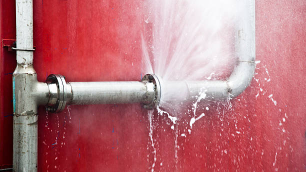 Best Flood damage cleanup  in Madison, SD